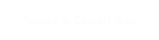 Terms & Conditions